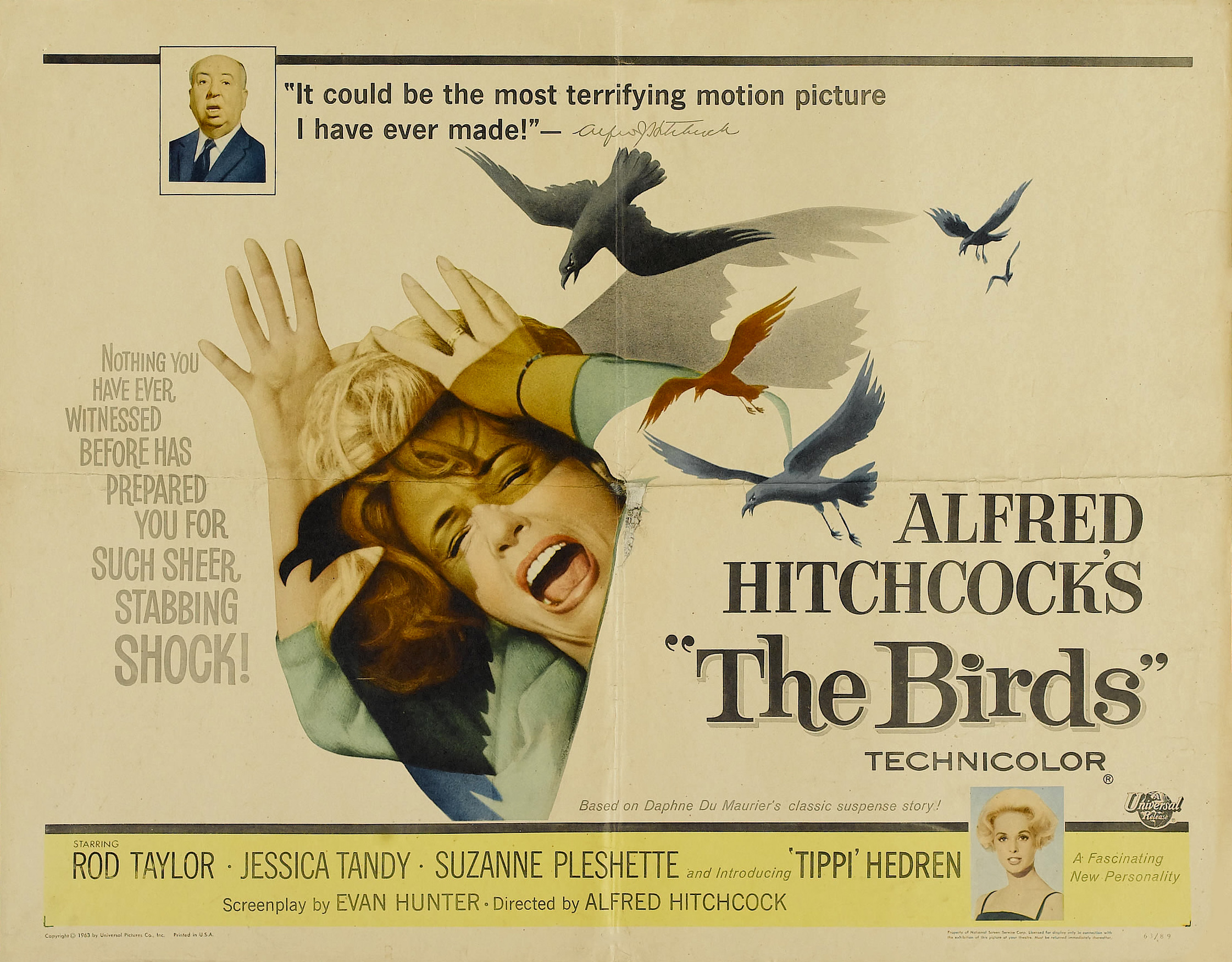 Birds the